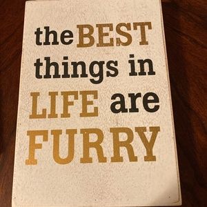 The 'Best Thing in Life are Furry" Picture